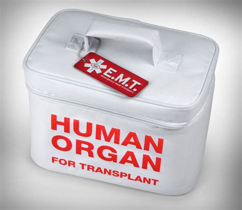 human organ metal storage box|Amazon.com: Human Organ Lunch Box.